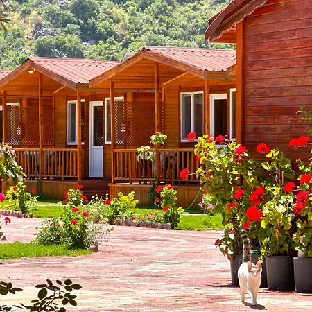 Venues Gold Adrasan Camping *